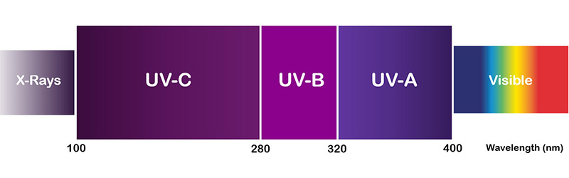UV wavelengths range: UVA, UVB & UVC.