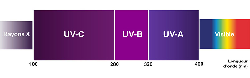 Gamme de longueurs d'onde UV : UVA, UVB et UVC.