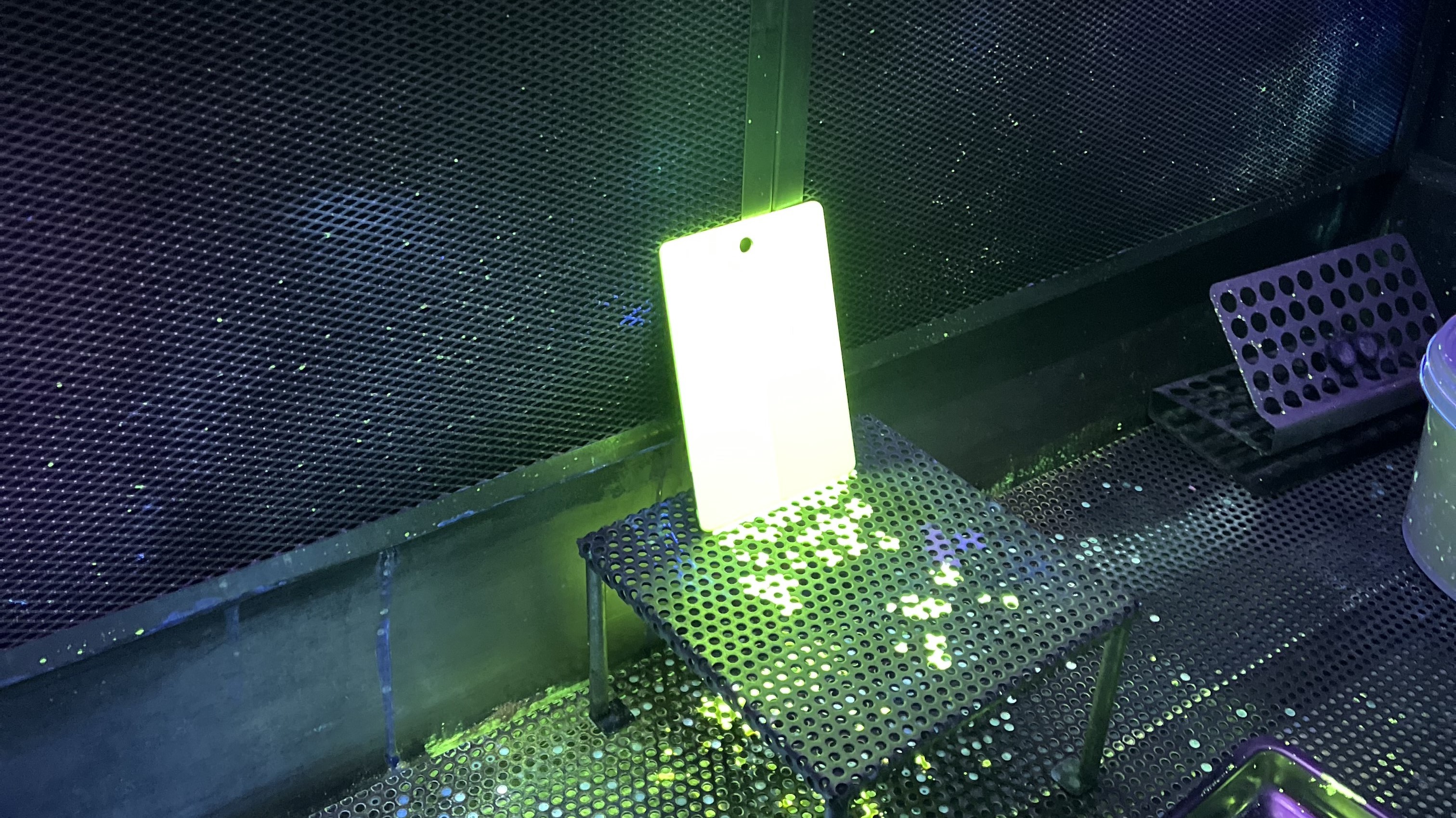 Blaulichtquelle für Fluoreszenzanwendungen